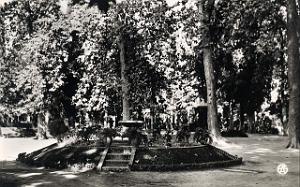 Sidi bel abbes 535- Jardin COLLECTION DES AMIS DE ND DE SANTA CRUZ